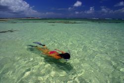 Snorkeling nella laguna di Anegada, il mare cristallino delle Isole Vergini Britanniche - © tubuceo / Shutterstock.com