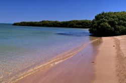 Spiaggia Mangrove bay Cape Range National Park Exmouth Australia
