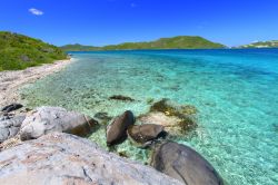 Magnifica spiaggia tropicale a Tortola: il mare limpido dei Caraibi diventa leggenda alle Isole Vergini Britanniche (BVI) - © Jason Patrick Ross / Shutterstock.com