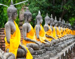 Statueallineate in un tempio ad Ayutthaya - © ...