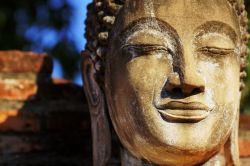 Un volto sereno di Budda a Autthaya in Thailandia ...