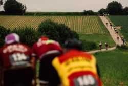 Uno dei classici muri della Retro Ronde nelle Fiandre. Queste strade sono le protagoniste delle cosiddette classiche di primavera, con il Giro delle Fiandre che rimane la corsa più amata ...