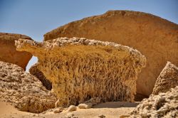Valle delle  Balene: le probabili mangrovie fossili di Wadi al-Hitan in Egitto - In collaborazione con I Viaggi di Maurizio Levi