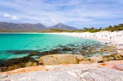 Wineglass Bay beach: la splendida spiaggia si trova lungo la Penisola di Freycinet, sulla costa orientale della Tasmania, nben a nord della capitale Hobart  - © ian woolcock / Shutterstock.com ...