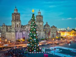 L'abero di Natale del Zocalo a Mexico City  - ©  Belikova Oksana / Shutterstock.com