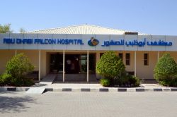 Abu Dhabi Falcon Hospital: inaugurato nel 1999, è il primo ospedale pubblico per falchi, nonché il più grande al mondo. Attualmente accoglie faklchi accompagnati qui dai ...