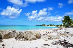 La magnifica spiaggia di Accra Beach è una delle più belle sull'Isola di Barbados, ai Caraibi, e come molte dell'isola è dotata di magnifiche sabbie bianche  - ...