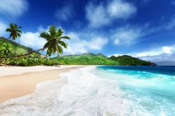 Acqua cristallina su una spiaggia di Mahé, Seychelles. L'isola si trova al largo dell'Africa Orientale, nell'Oceano Indiano.
