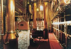 Alambicchi all'interno delle Distillerie Poli famose per la produzione di grappa a Schiavon, Veneto
