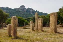 I menhir dell'allineamento di Stantari, presso l'area megalitica di Cauria, nella zona di Sartène, in Corsica.
