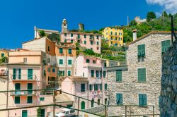 L'antico villaggio di Vernazza con le case colorate, La Spezia, Liguria. Oltre alle tradizionali case torre questo villaggio annovera anche testimonianze architettoniche più elaborate ...