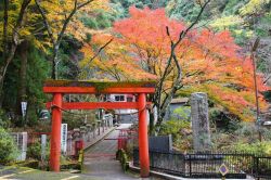 Autunno nella città di Osaka, Giappone. Foliage autunnale nel parco di un tempio cittadino.
