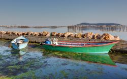 Barche nel porto di Bouzigues, località famosa per le ostriche in Linguadoca-Rossiglione