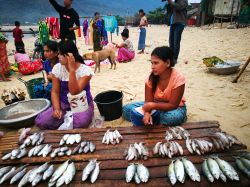 Bawseit Fish market, noto anche come 'Ta-bo-sek' a Dawei, arcipelago di Mergui (Myanmar): qui è possibile vedere abitanti del posto scambairsi "prodotti del mare" al ...