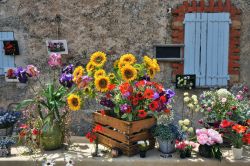 Bouquets di fiori colorati in vendita in una strada del borgo di Ferrassières, Provenza, Francia.
