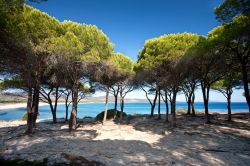 All'ombra sulla spiaggia di Budoni, Sardegna ...