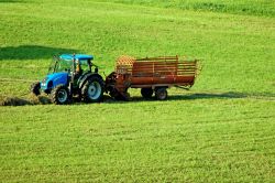 Lavori nelle campagne di Bagolino durante l'estate in Lombardia - © Franco Volpato / Shutterstock.com