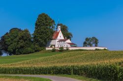 Chiesa nei pressi di Ravensubrg, Germania - Un caratteristico edificio di culto nelle campagne che circondano la città tedesca situata al centro della zona turistica fra l'Algovia ...