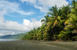 Il Corcovado National Park, la spiaggia selvaggia della penisola di Osa in Costa Rica - © Malgorzata Drewniak / Shutterstock.com