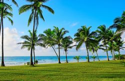 Le splendide palme tropicali di Diani Beach, Kenya, su un prato all'inglese: quando l'Africa si fa europea - La costa del Kenya, in particolare da Malindi a Mombasa, è da diverso ...