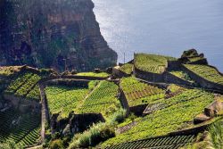 Vista panoramica sulla Costa Sud di Madeira (Portogallo) - Ampie forme geometriche che non sono severe ma al contrario, sono ammorbidite dal verde rigoglioso della natura: questa è un'immagine ...