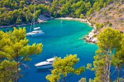 Piccola spiaggia sull'isola di Brac, in Dalmazia, Croazia