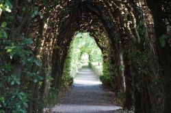 Dettaglio del giardino della Certosa di Pontignano, nel comune di Castelnuovo Berardenga - © pugajl / Shutterstock.com