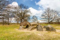 Il Dolmen D10 tra le quercie nella provincia olandese della Drenthe.
