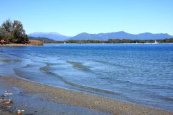 I Canneti Di Dormelletto Presso La Spiaggia Pirolino