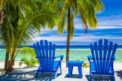 Due sedie in legno dipinte di blu su una spiaggia delle Isole Cook, Polinesia.

