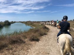 Escursione a Cavallo nella Camargue, presso il Delta del Rodano in Provenza, Francia