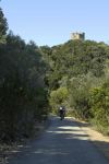 Escursione in bicicletta nel Parco dell'Uccellina in Toscana, dinorni di Alberese
