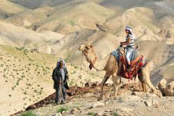 Escursione in cammello nel deserto intorno a Gerico in Palestina - © ChameleonsEye / Shutterstock.com 