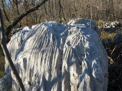 Esterno della Grotta Gigante di Sgonico: un masso calcareo solcato da karst