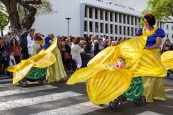 Il Festival dei Fiori a Madeira (Portogallo) con le sue bellissime coreografie - Il Flower Festival di Madeira si tiene ogni anno nel periodo primaverile quando la natura regala il suo spettacolo ...