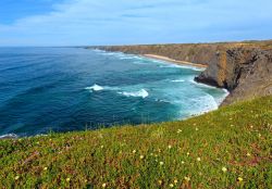 Fioritura estiva sulla costa dell'oceano Atlantico a Aljezur, Algarve, Portogallo. Un bel panorama di capo Ponta da Arrifana nelle vicinanze di Aljezur.



