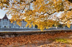 Foliage autunnale in un parco nel centro di Besancon, Francia.
