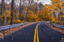 Foliage autunnale lungo una strada di Shelton, Connecticut, USA. Siamo nella contea di Fairfield.

