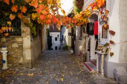 Foliage autunnale nel centro di Durnstein, valle di Wachau, Austria.