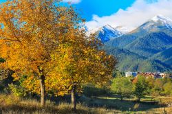 Foliage autunnale nelle campagne attorno a Bansko, Bulgaria. Sullo sfondo, le case di questa cittadina situata nel distretto di Blagoevgrad.

