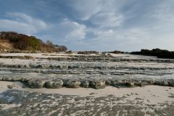 Fondale roccioso con bassa marea sulla riva dell'isola di Pacheca, Las Perlas, Panama. Qui ci si può rilassare a stretto contatto con la natura.

