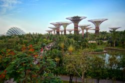 Gardens by the Bay a Singapore: i suggestivi Supertrees Grove, i futuristici alberi in cemento forato e acciaio che dominano la skyline cittadina - © reezuan / Shutterstock.com 