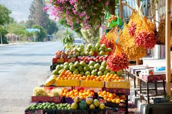 Una bancarella di frutta al mercato di Gerico, la ciittà in Cisgiordania, in Palestina - © Ryan Rodrick Beiler / Shutterstock.com