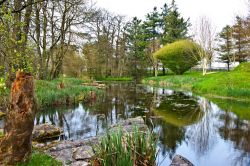 I giardini Giapponesi di Kildare in Irlanda - © Misa Maric / Shutterstock.com