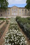 Giardino del Domaine d'O nella città di Montpellier, Francia: fiori e piante di fronte al castello - © BOULENGER Xavier / Shutterstock.com