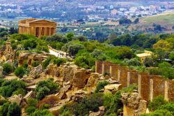 Il Giardino della Kolymbetra, un angolo di paradiso ad Agrigento (Sicilia) - Così vasto da sembrare non abbia confini, così verde da competere con le foreste più belle, ...