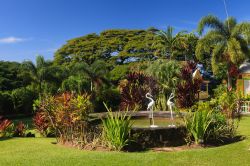 I giardini di Romney Manor a Basseterre, St. Kitts and Nevis, Indie Occidentali. Il maniero risale al 1626 quando gli europei occuparono questo luogo dopo il massacro degli indiani del Caribe ...