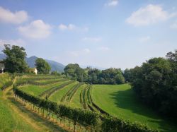 I paesaggi della 'Toscana della Svizzera', siamo nel Mendrisiotto, Canton Ticino