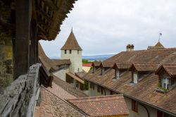 I tetti del centro storico di Murten visti dalle mura edificate dopo la costruzione della città nel 12° secolo. Questa località svizzera conserva l'impianto medievale delle ...
