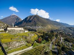 I tipici vigneti sui terrazzamenti della Valtellina, non lontano da Sondrio